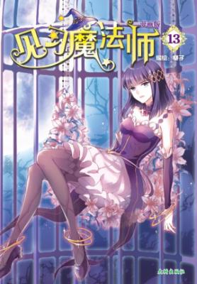 《见习魔法师 13》 封面